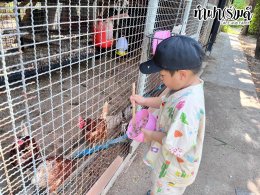 โรงเรียนอัสสัมชัญ ศรีราชา 28 มีนาคม 2568