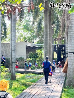 โรงเรียนอัสสัมชัญ ศรีราชา 28 มีนาคม 2568