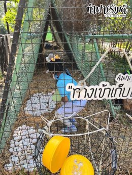 โรงเรียนอนุบาลอาเซียนวิเทศศาสตร์ 23 มกราคม 2569