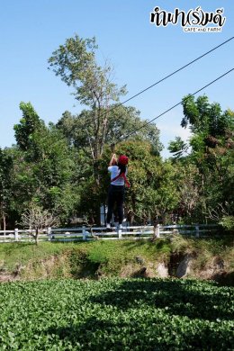 โรงเรียนเตรียมอุดมศึกษาน้อมเกล้า 18 ธันวาคม 2568