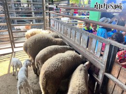 เทศบาลตำบลเมืองเก่า อ.กบินทร์บุรี จ.ปราจีนบุรี 03 มีนาคม 2568