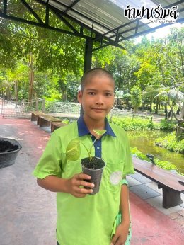 โรงเรียนเทศบาลปลายบางวัดโคนอนราษฎร์บำรุง 31 กรกฎาคม 2568