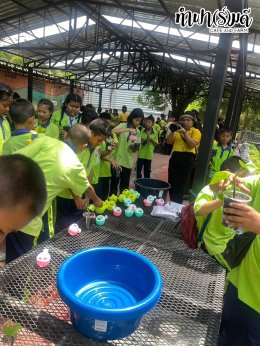 โรงเรียนเทศบาลปลายบางวัดโคนอนราษฎร์บำรุง 31 กรกฎาคม 2568