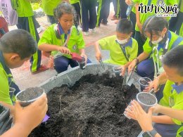 โรงเรียนเทศบาลปลายบางวัดโคนอนราษฎร์บำรุง 31 กรกฎาคม 2568