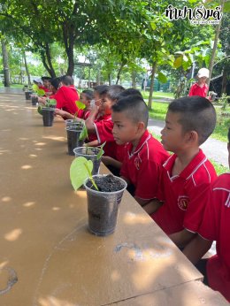 โรงเรียนเมืองพัทยา 3 (วัดสว่างฟ้าพฤฒาราม) 23 กรกฎาคม 2568