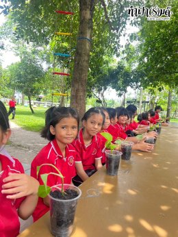 โรงเรียนเมืองพัทยา 3 (วัดสว่างฟ้าพฤฒาราม) 23 กรกฎาคม 2568
