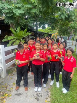 โรงเรียนเมืองพัทยา 3 (วัดสว่างฟ้าพฤฒาราม) 23 กรกฎาคม 2568