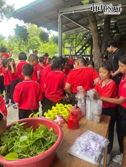 โรงเรียนเมืองพัทยา 3 (วัดสว่างฟ้าพฤฒาราม) 23 กรกฎาคม 2568