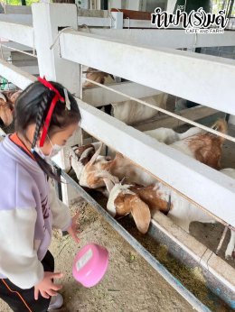 โรงเรียนเฮงฮั้ว 21 พฤศจิกายน 2568