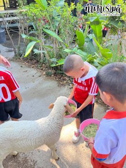 โรงเรียนเฮงฮั้ว 28 มกราคม 2568