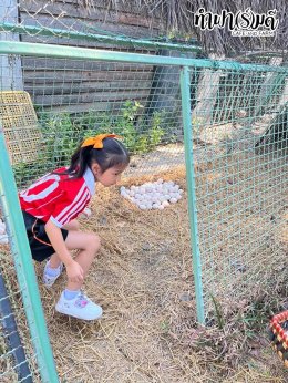 โรงเรียนเฮงฮั้ว 28 มกราคม 2568