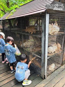Playhouse International Preschool 23 กันยายน 2569