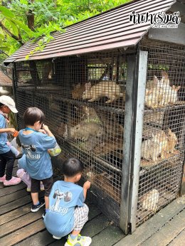 Playhouse International Preschool 23 กันยายน 2569