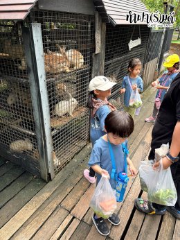 Playhouse International Preschool 23 กันยายน 2569