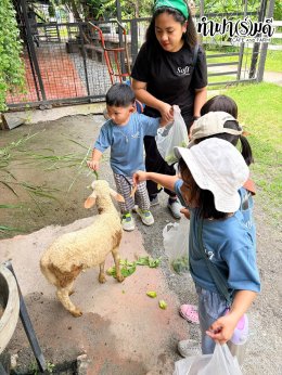 Playhouse International Preschool 23 กันยายน 2569