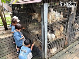 Playhouse International Preschool 23 กันยายน 2569