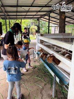Playhouse International Preschool 23 กันยายน 2569