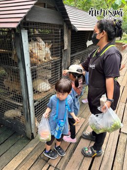 Playhouse International Preschool 23 กันยายน 2569