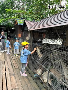 Playhouse International Preschool 23 กันยายน 2569