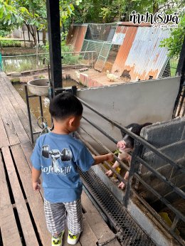 Playhouse International Preschool 23 กันยายน 2569