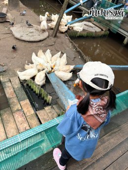 Playhouse International Preschool 23 กันยายน 2569