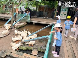 Playhouse International Preschool 23 กันยายน 2569
