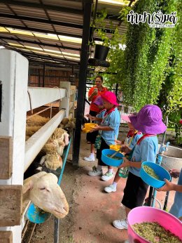 โรงเรียนบ้านหุบบอน 17 สิงหาคม 2569
