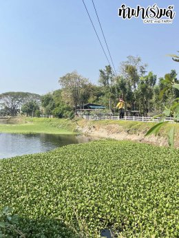 โรงเรียนวัดบางสมัคร 30 มกราคม 2569