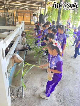 โรงเรียนศุทธรัตน์วัฒนาลัย (ประถม 1-2) 2 กุมภาพันธ์ 2569