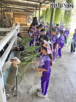 โรงเรียนศุทธรัตน์วัฒนาลัย (ประถม 1-2) 2 กุมภาพันธ์ 2569