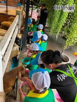 โรงเรียนชุมชนวัดหนองรี  25 สิงหาคม 2569