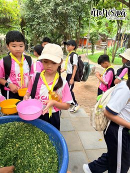 โรงเรียนดาราสมุทร 06 ตุลาคม 2569