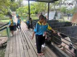 โรงเรียนบ้านตลาดเนินหิน 26 กุมภาพันธ์ 2569