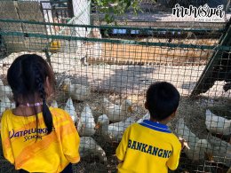 โรงเรียนบ้านแก่งน้อย จังหวัดจันทบุรี 08 กันยายน 2569