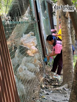 โรงเรียนบ้านแก่งน้อย จังหวัดจันทบุรี 08 กันยายน 2569