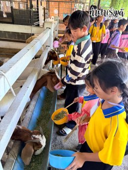 โรงเรียนบ้านแก่งน้อย จังหวัดจันทบุรี 08 กันยายน 2569