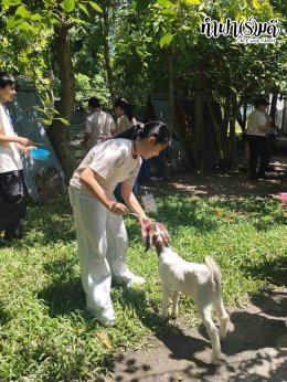 โรงเรียนปรินส์รอยแยลส์วิทยาลัย 07 ตุลาคม 2569