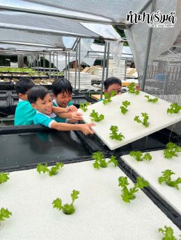โรงเรียนมารีวิทย์ระยอง 6 สิงหาคม 2569