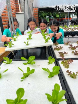 โรงเรียนมารีวิทย์ระยอง 6 สิงหาคม 2569