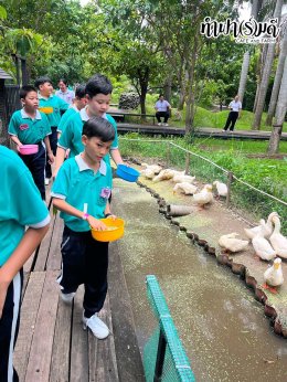 โรงเรียนมารีวิทย์ระยอง 6 สิงหาคม 2569
