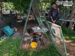 โรงเรียนวัดทุ่งควายกิน 07 ตุลาคม 2569