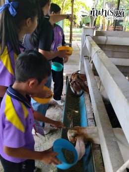 โรงเรียนวัดบางนาง  29 กันยายน 2569
