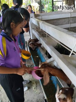 โรงเรียนวัดบางนาง  29 กันยายน 2569
