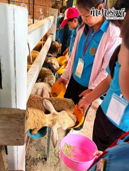 โรงเรียนวัดมาบข่า 26 สิงหาคม 2569