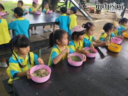 โรงเรียนวัดใหม่เนินพยอม 17 กันนยายน 2569