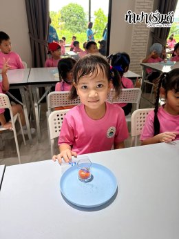 โรงเรียนวุฒิวิทยา 2 24 กันยายน 2569