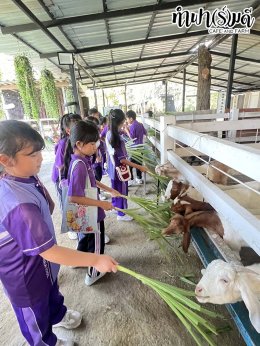 โรงเรียนศุทธรัตน์วัฒนาลัย (ป.3) 9 กุมภาพันธ์ 2569