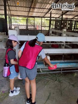 โรงเรียนสอนภาษาพลินปัญญา 3 เมษายน 2569
