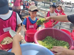 โรงเรียนสอนภาษาพลินปัญญา 3 เมษายน 2569