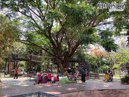 โรงเรียนสอนภาษาพลินปัญญา 3 เมษายน 2569